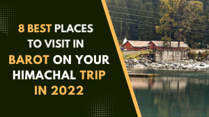 Visit In Barot On Himachal Trip Visit In Barot On Himachal Trip